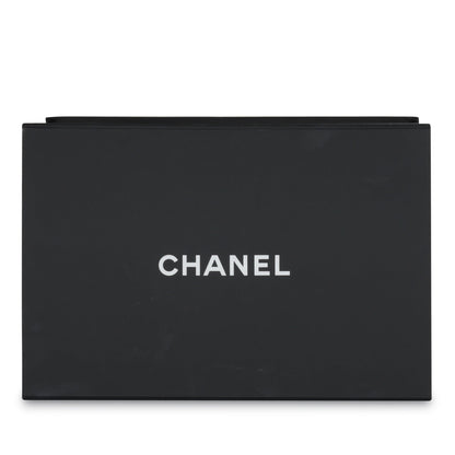 Chanel Top Handle Wallet on Chain