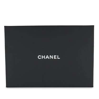 Chanel Top Handle Wallet on Chain