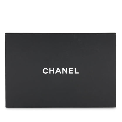 Chanel 2.55 Re-issue - 224