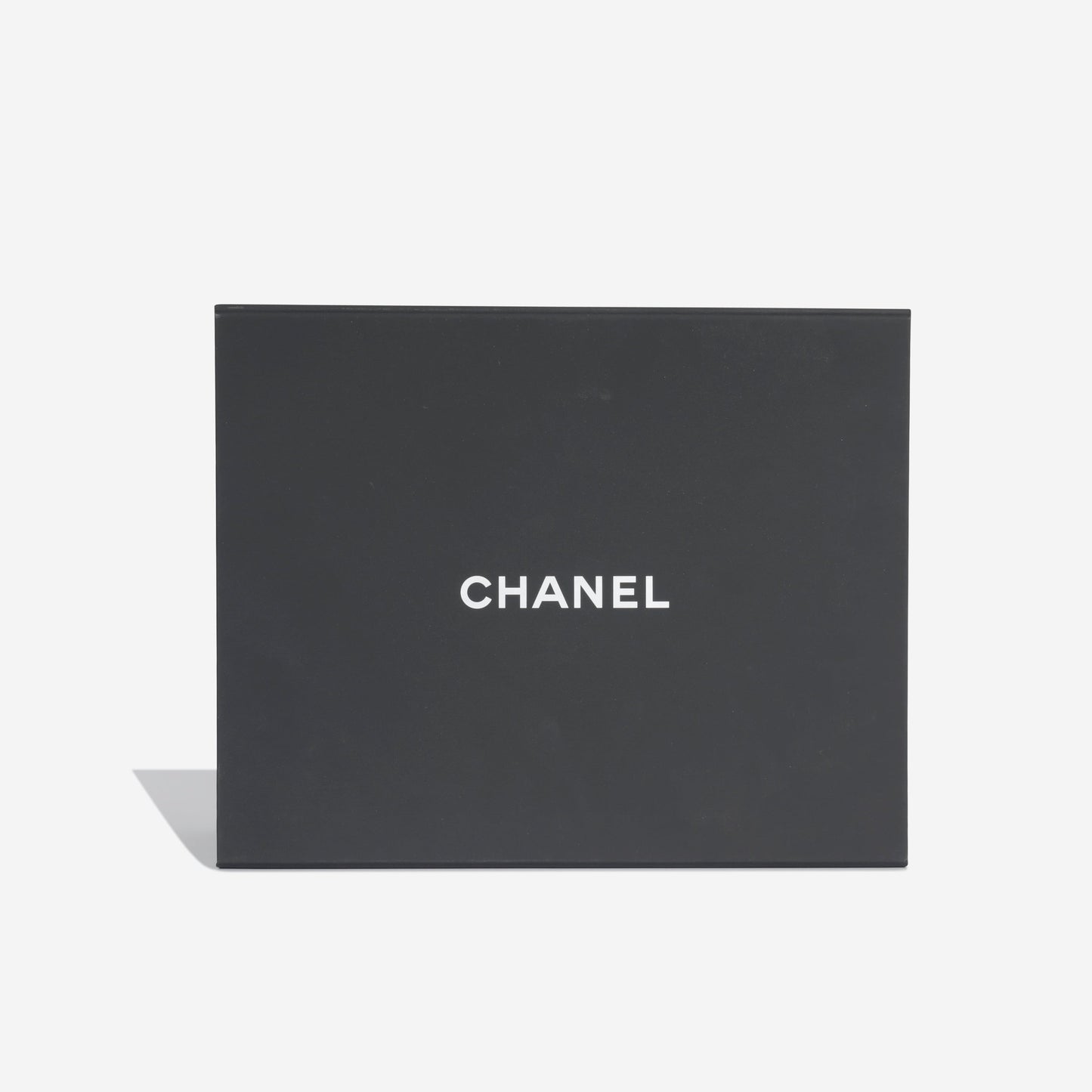 Chanel Chanel 19 - Small
