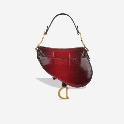 Christian Dior Mini Saddle Bag