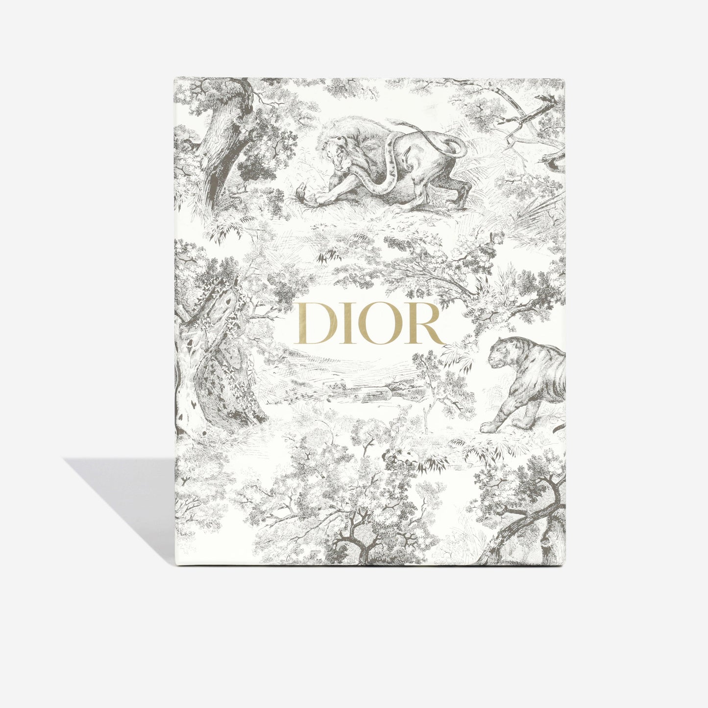 Christian Dior Mini Saddle Bag