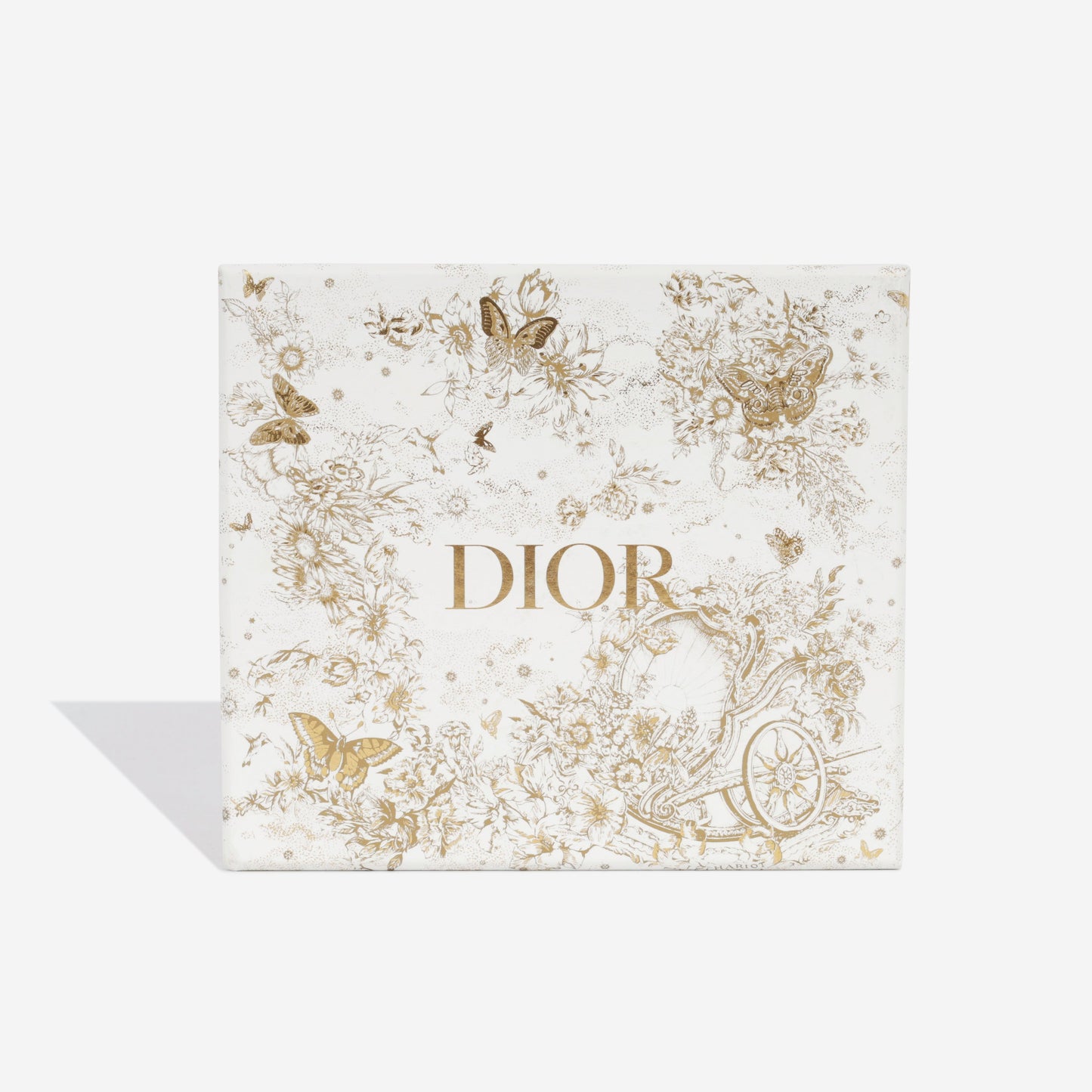 Christian Dior Lady Dior - Micro