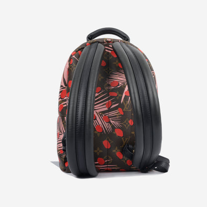 Louis Vuitton Palm Springs Backpack PM