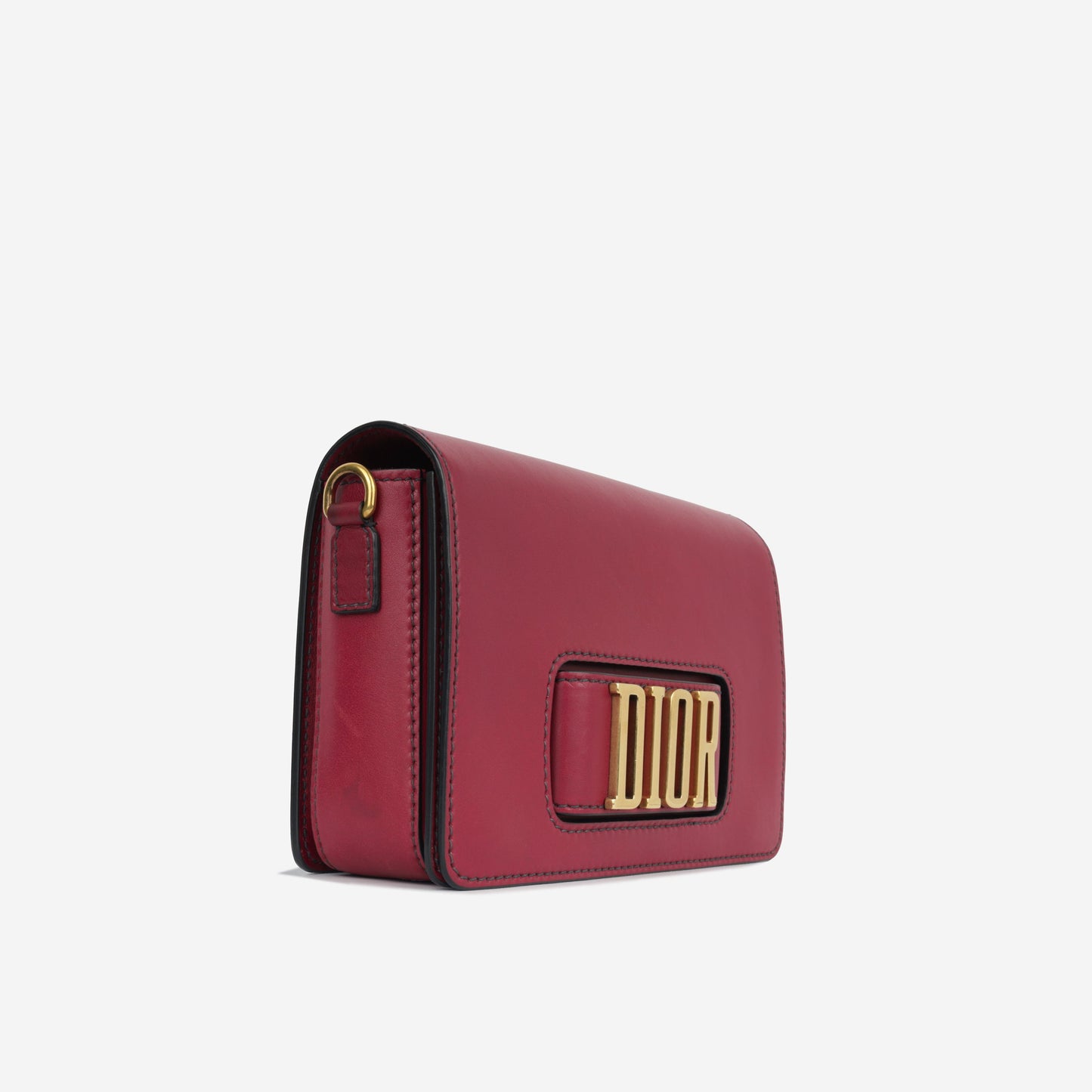 Christian Dior Diorevolution Flap Bag