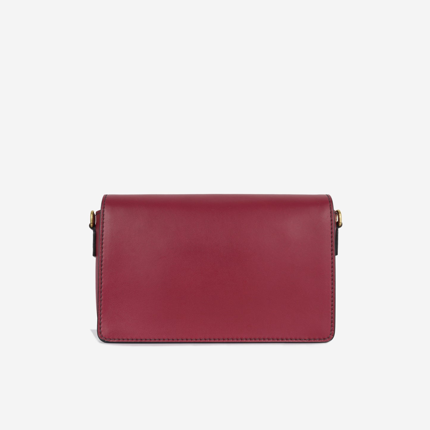 Christian Dior Diorevolution Flap Bag