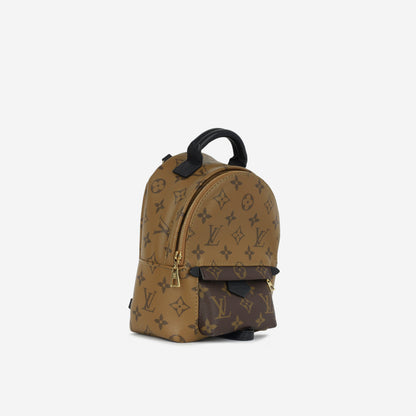 Louis Vuitton Palm Springs Backpack - Mini