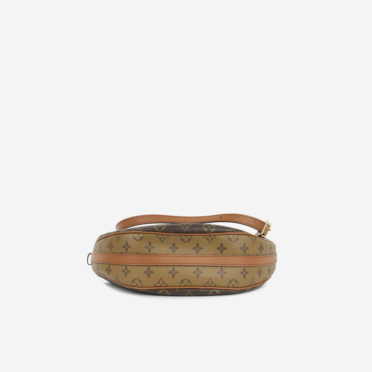 Louis Vuitton Loop Hobo Bag