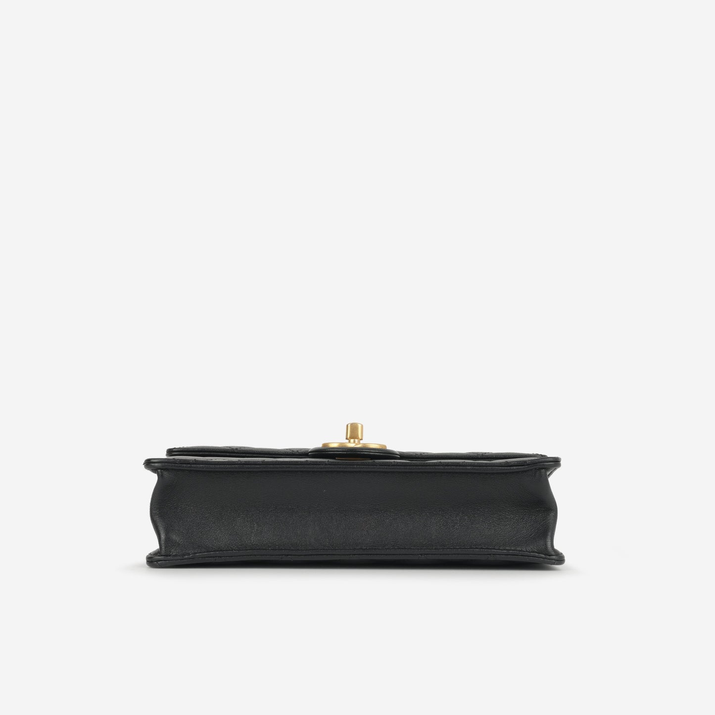 Chanel Medium Chic Pearl Flap