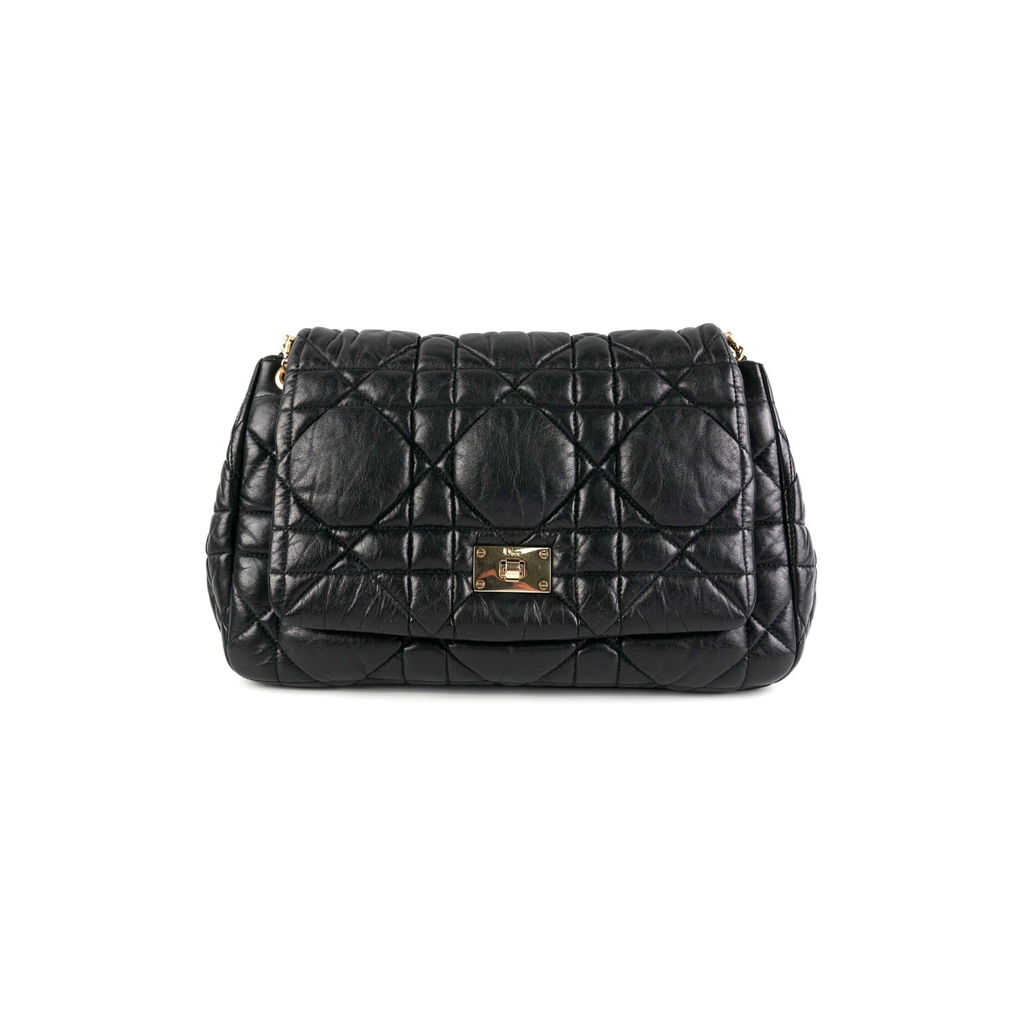 Dior Milly La Foret Small Black