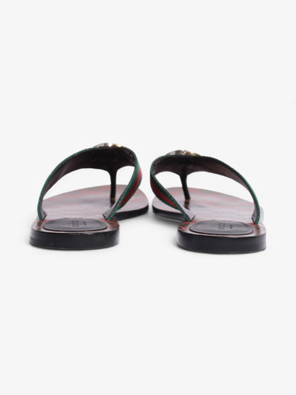 Gucci GG Thong Web Sandal Red / Green Canvas EU 39 UK 6