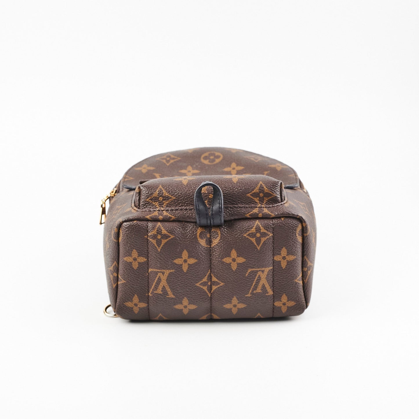 Louis Vuitton Palm Springs Mini Monogram