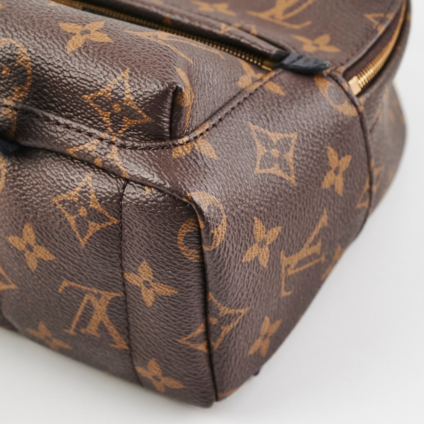 Louis Vuitton Palm Springs Mini Monogram