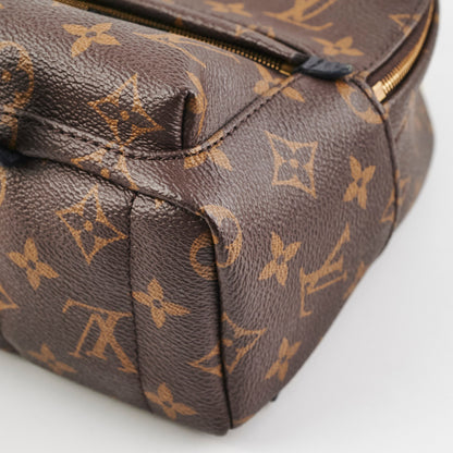 Louis Vuitton Palm Springs Mini Monogram