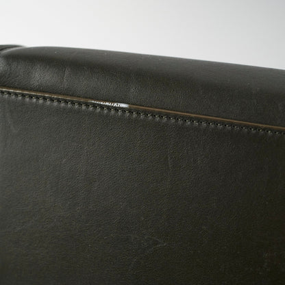 Celine Medium Trapeze TriColour