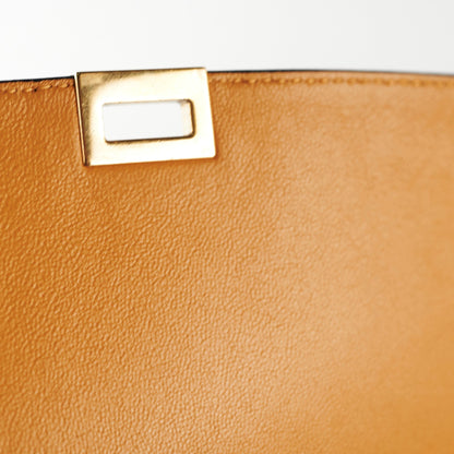 Celine Medium Trapeze TriColour