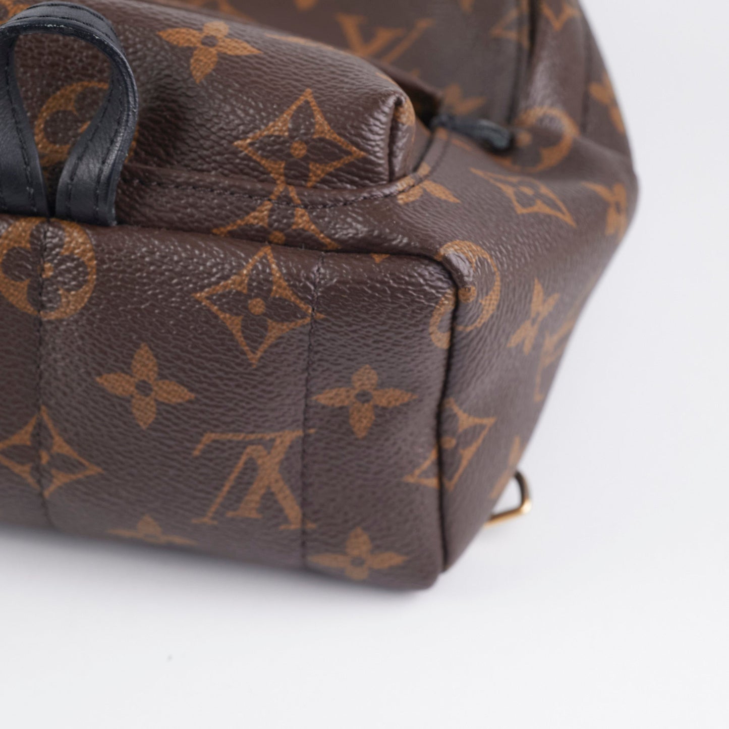 Louis Vuitton Palm Spring Mini Monogram