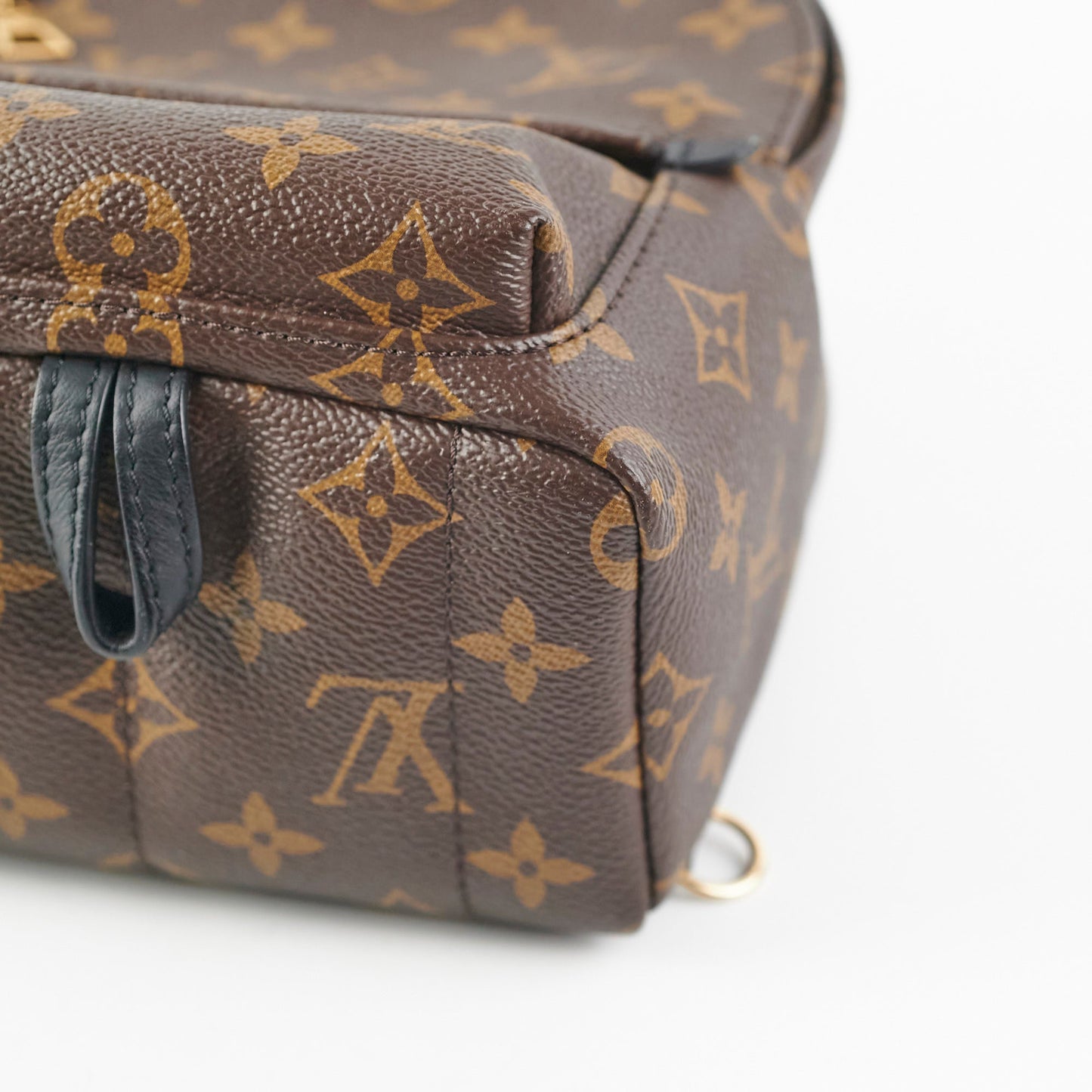 Louis Vuitton Palm Springs Mini Monogram