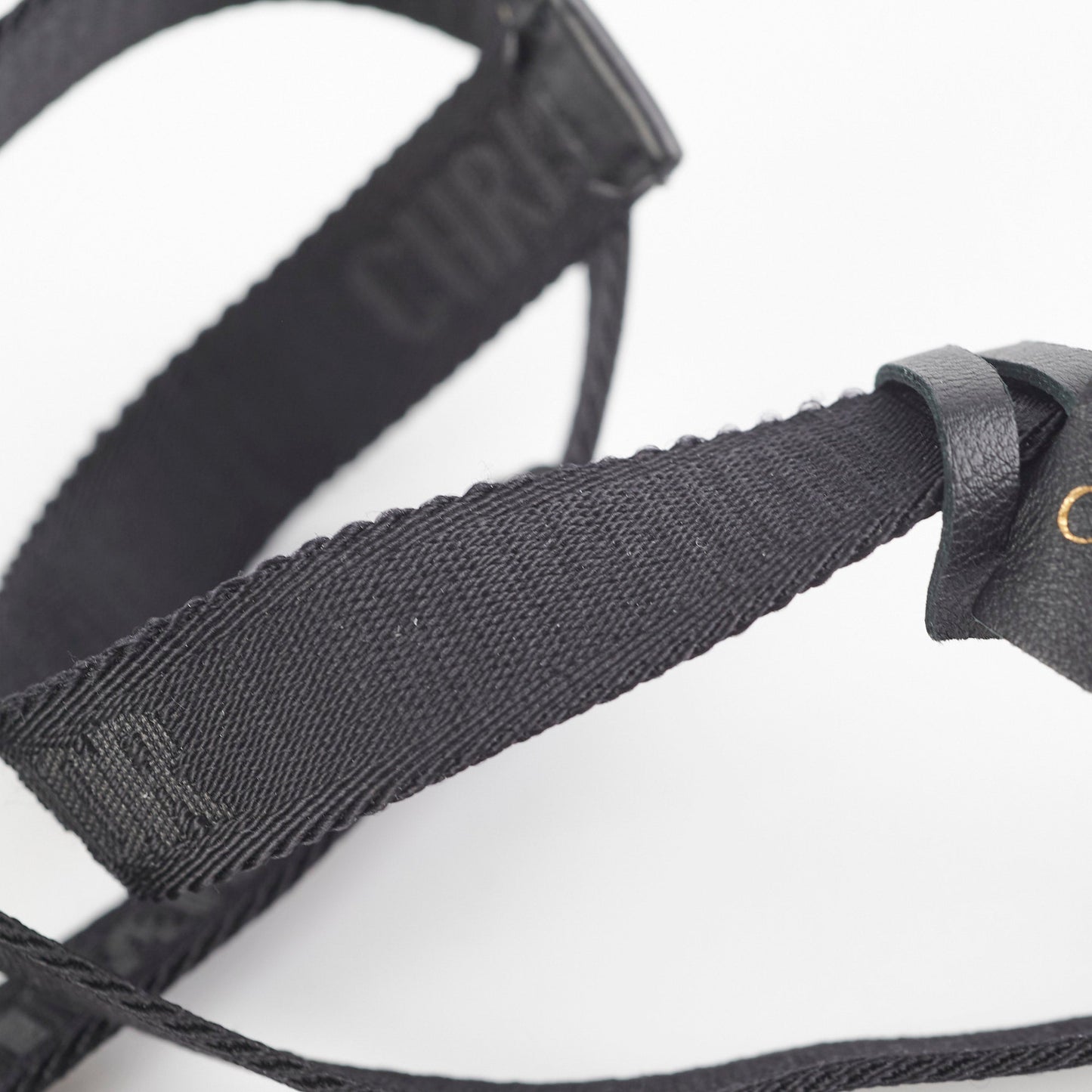 Dior Canvas Women Belt Black