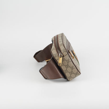 Gucci Ophidia Belt Bag
