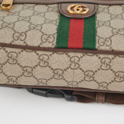 Gucci Ophidia Belt Bag