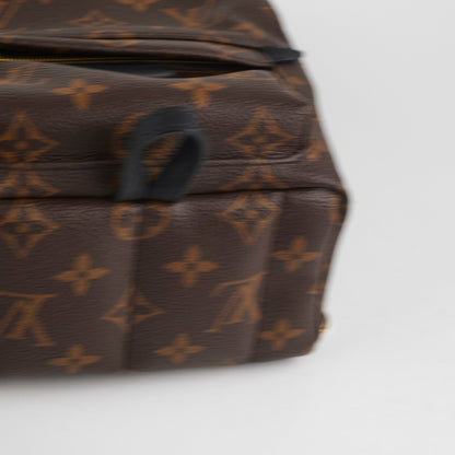 Louis Vuitton Palm Springs Mini Monogram