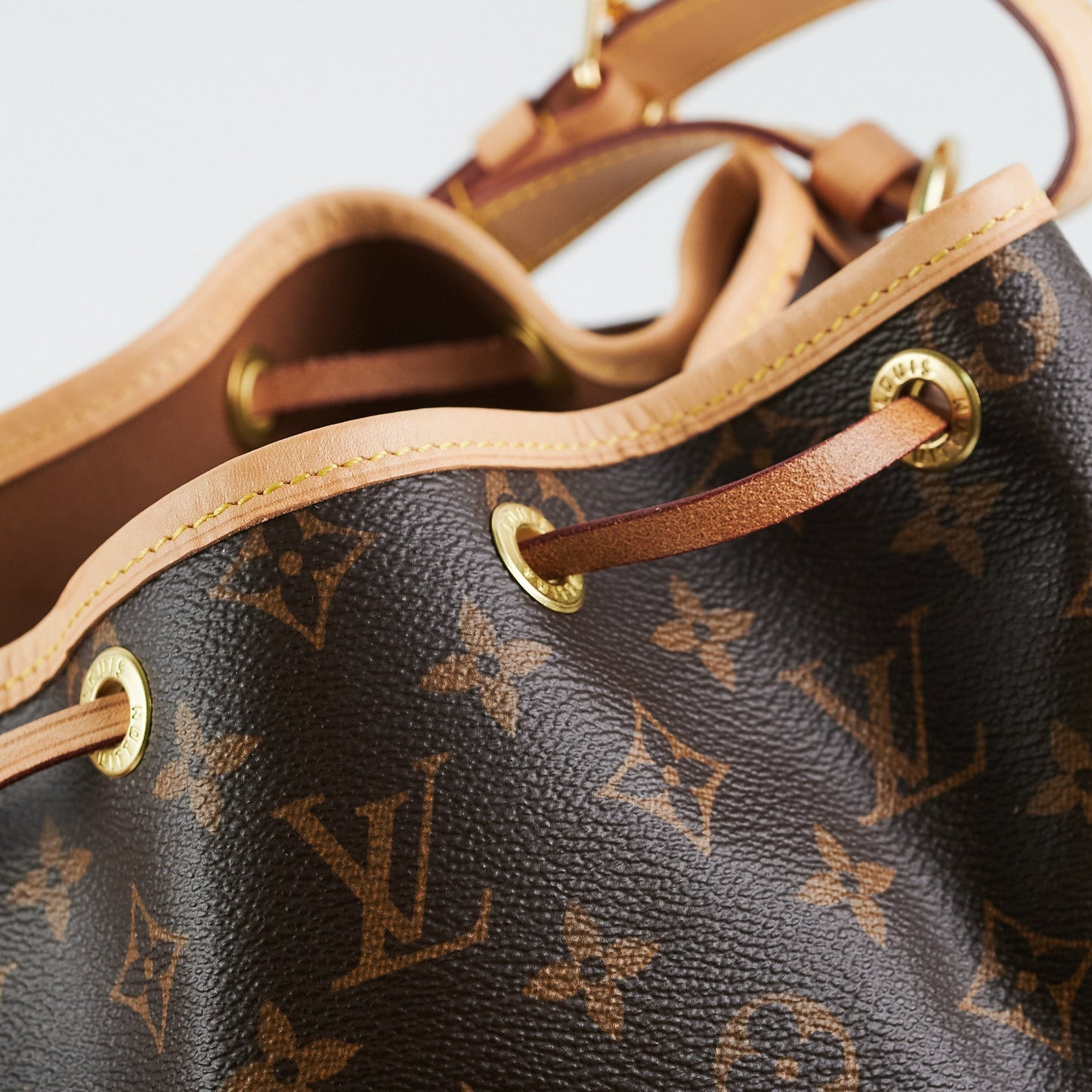 Louis Vuitton Petite Neo Noe Monogram