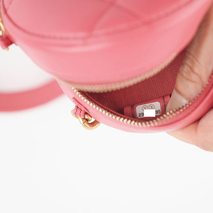 Chanel 19 Lambskin Round Pink
