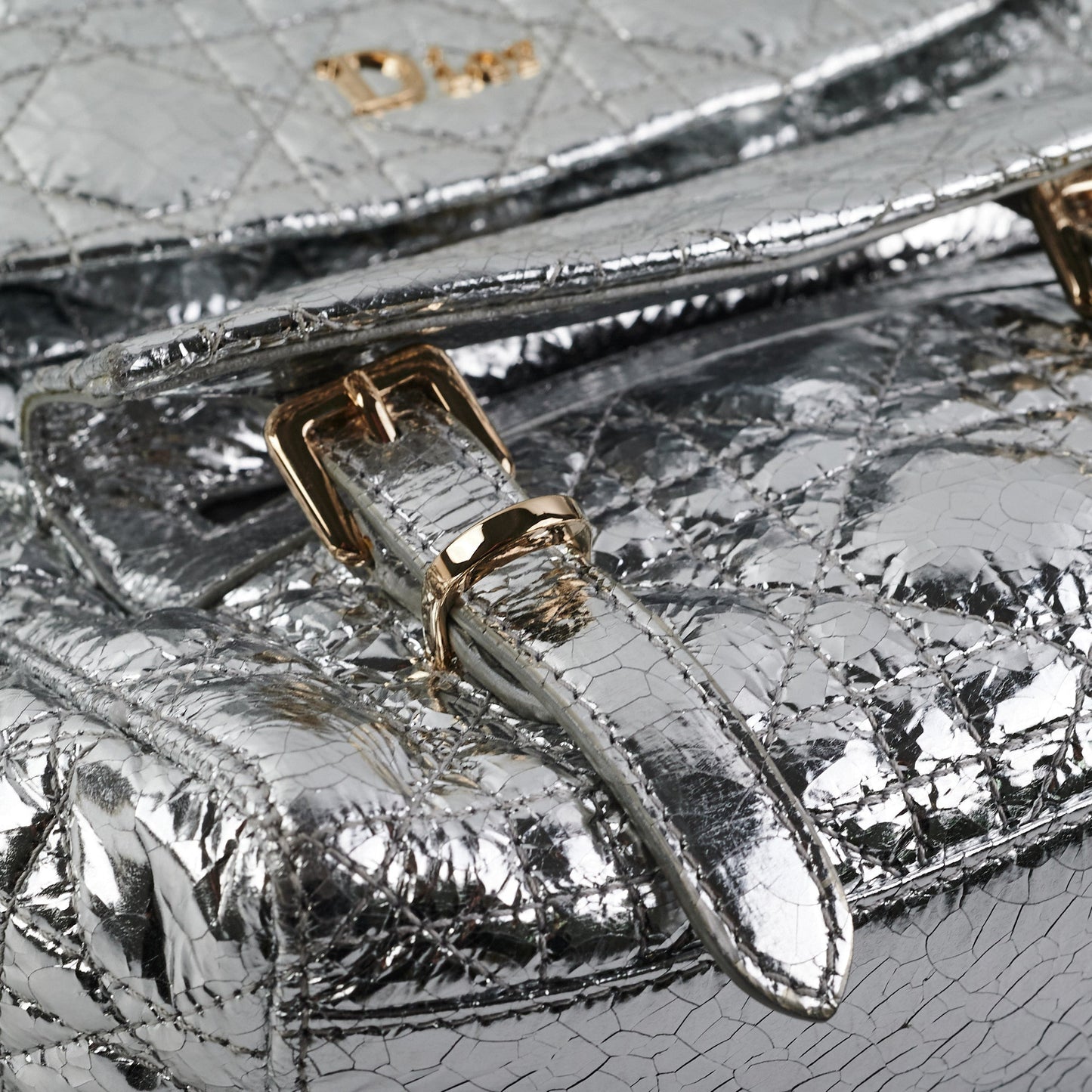 Dior Backpack Silver