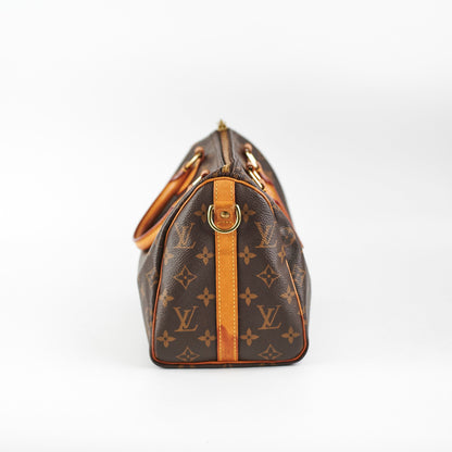Louis Vuitton Speedy Bandoulière 25 Monogram