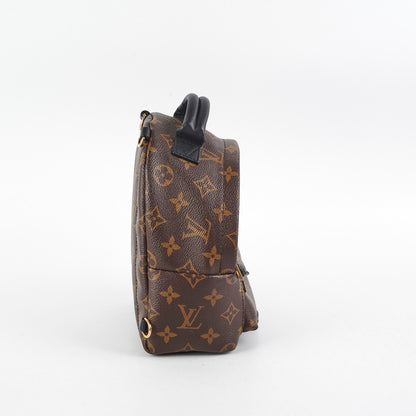 Louis Vuitton Palm Spring Mini Monorgam