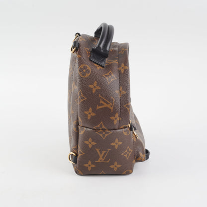 Louis Vuitton Palm Springs Mini Monogram