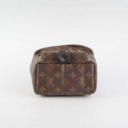 Louis Vuitton Palm Springs Mini Monogram