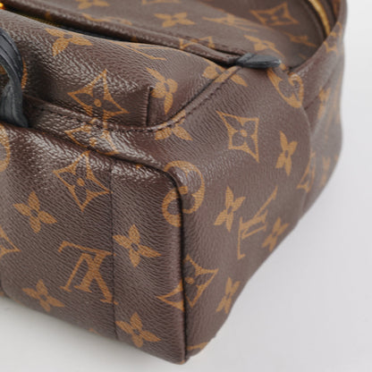 Louis Vuitton Palm Springs Mini Monogram