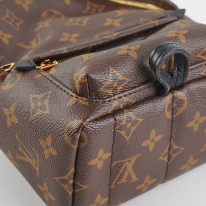 Louis Vuitton Palm Springs Mini Monogram