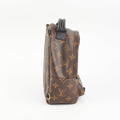 Louis Vuitton Mini Palm Springs Monogram