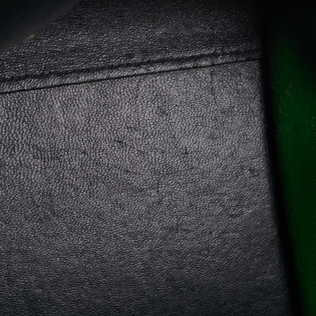 Celine Trapeze Green and Black