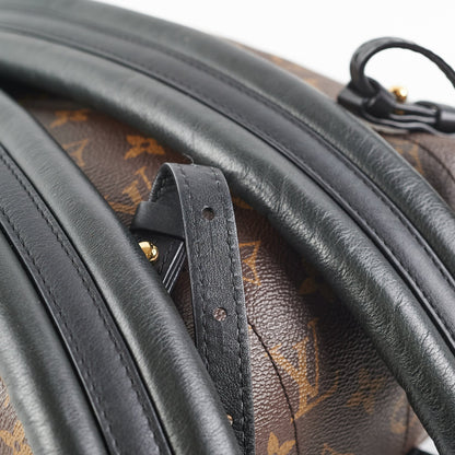 Louis Vuitton Monogram Palm Springs PM BackPack