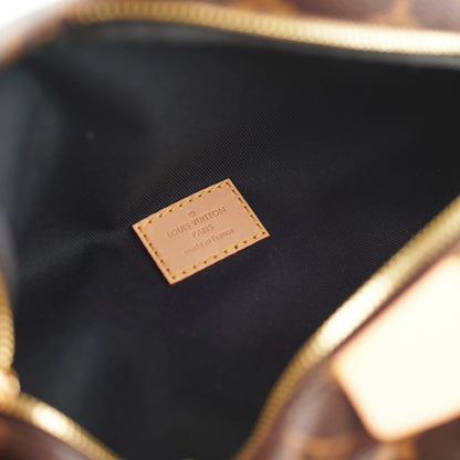 Louis Vuitton Bum bag MM Monogram