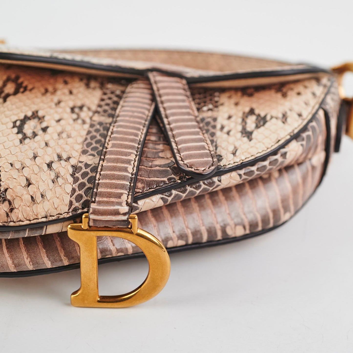 Christina Dior Mini Saddle Snake Skin