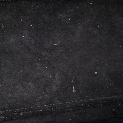 Celine Micro Luggage Black
