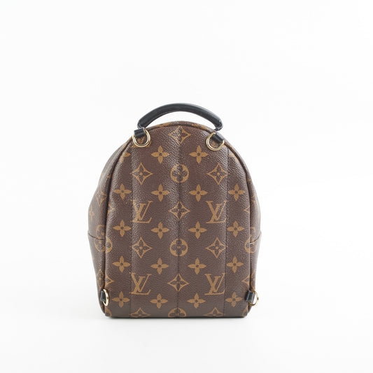 Louis Vuitton Palm Spring Mini Monogram