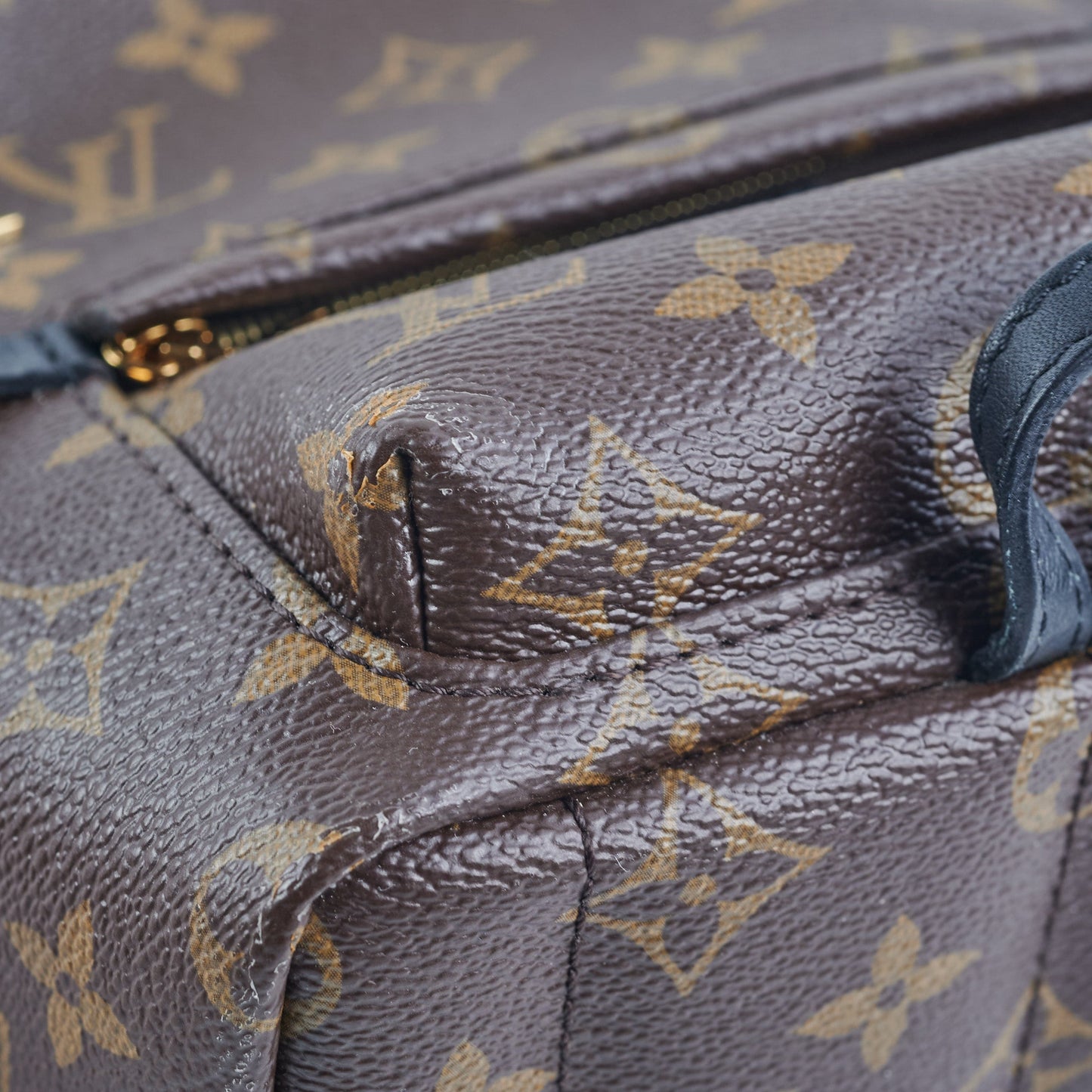 Louis Vuitton Palm Spring Mini Monogram