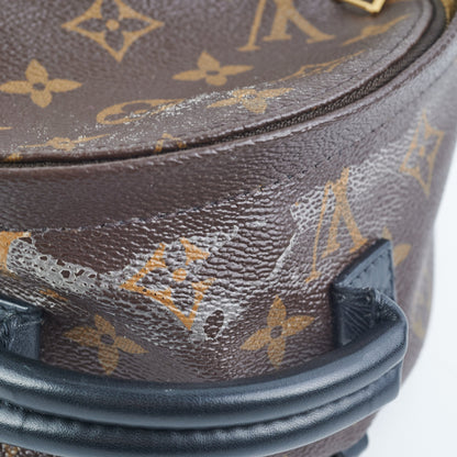 Louis Vuitton Palm Spring Mini Monogram