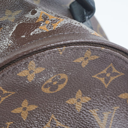 Louis Vuitton Palm Spring Mini Monogram