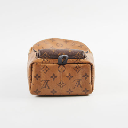 Louis Vuitton Reverse Monogram Mini Palm Springs