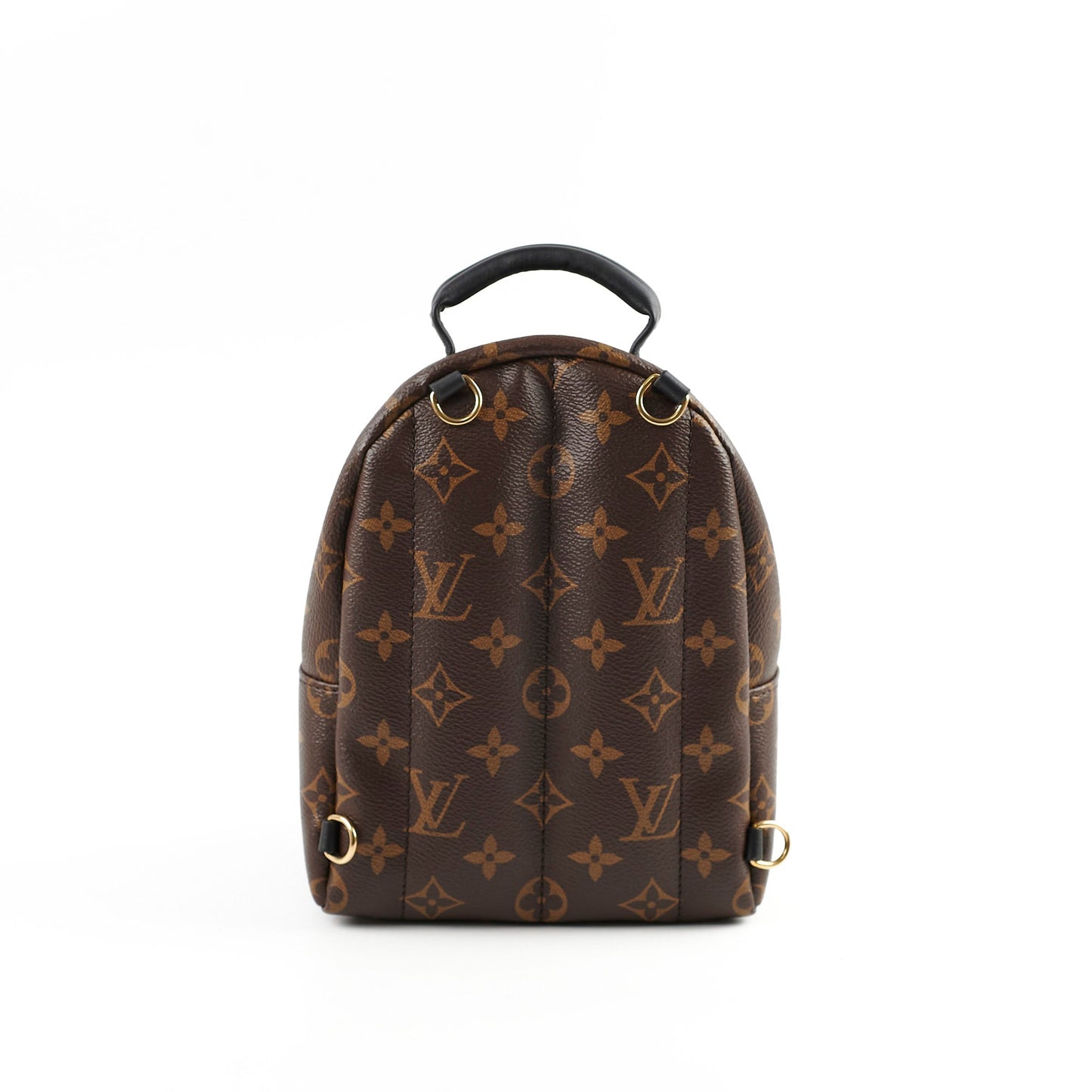 Louis Vuitton Palm Spring Mini Monogram