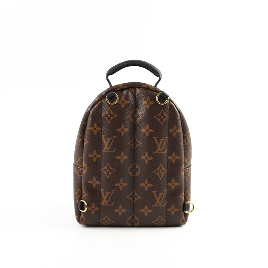 Louis Vuitton Palm Spring Mini Monogram