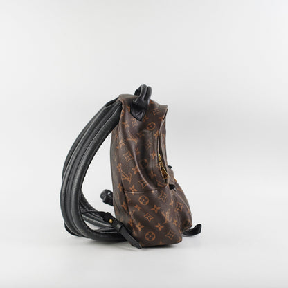 Louis Vuitton Palm Springs MM