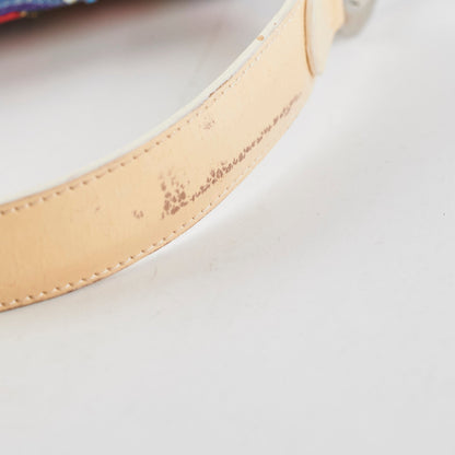Christian Dior Embroidery Saddle